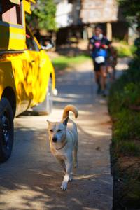 BIB: 
                            <button type="button" onclick="openModal(19338972)" class="btn btn-primary btn-sm float-right btn-popup" data-toggle="modal" data-target=".modal-high-quality">
                        <i class="fas fa-shopping-cart"></i> Add to Cart
                    </button>
                                            <button type="button" onclick="isThisMe(19338972, true)" class="btn btn-success btn-sm float-right btn-popup btn-isme hidden" data-toggle="tooltip" data-placement="bottom" title="นี่คือรูปของคุณใช่ไหม คลิกที่นี่เพื่อเอาเข้าอัลบั้ม">
                        <i class="fas fa-plus"></i> Add to album
                    </button>
                    <button type="button" onclick="isThisMe(19338972, false)" class="btn btn-warning btn-sm float-right btn-popup btn-isnotme hidden">
                        <i class="fas fa-ban"></i> Remove from album
                    </button>